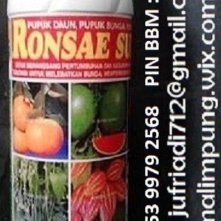 PUPUK RONSAE SUPER MAKASSAR