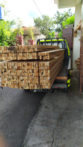 jual kayu albasiah n kayu jawa....