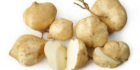 Bengkuang Bogor