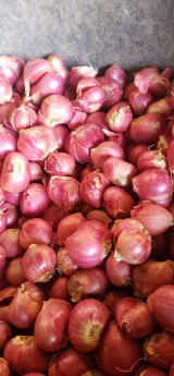 Jual Bawang Merah Super Brebes