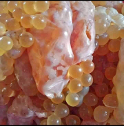 Ndog Iwak per 1/2 kg (Bisa COD)