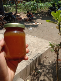 madu kalanceng purworejo