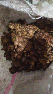 Palawija
