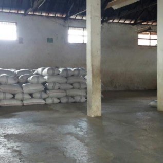 Jual Cengkeh