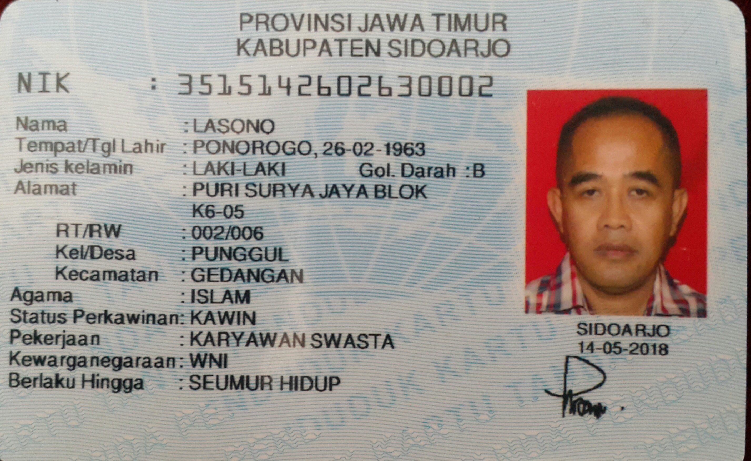 Bubuk Jahe