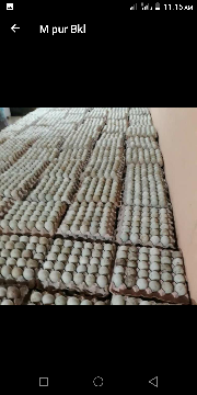 telur bebek