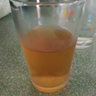 jual bungkil dan minyak biji kapuk