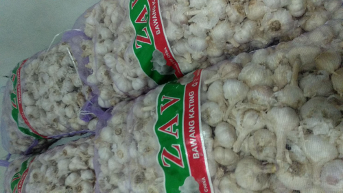 Bawang putih kating