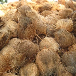Kelapa Dalam