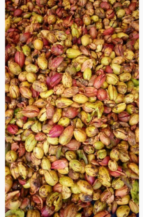 buah tengkawang