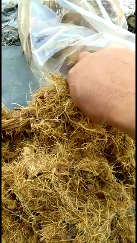 fiber sawit