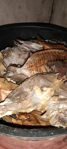ikan asin Baronag
