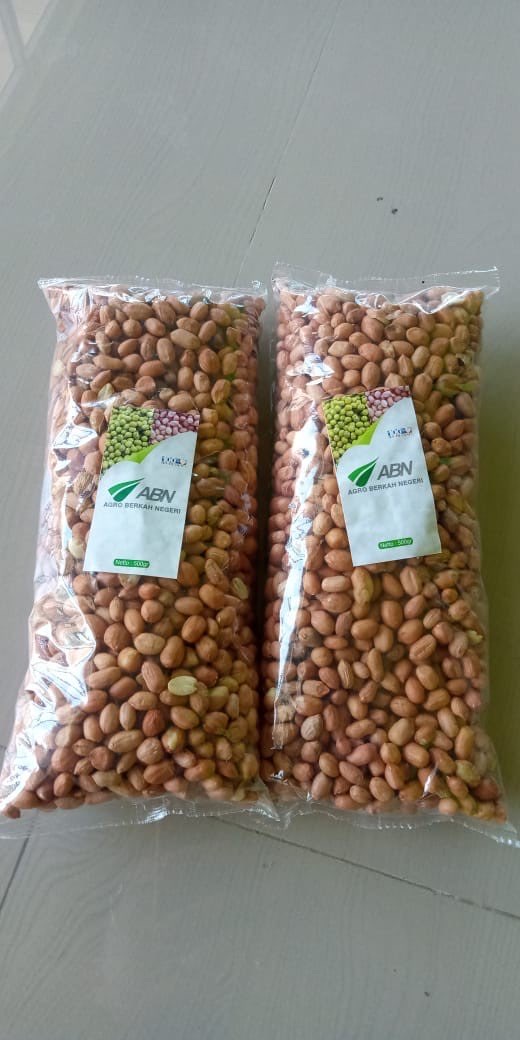KACANG TANAH 500 GRAM