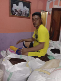 cengkeh