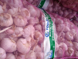 bawang putih (honan)