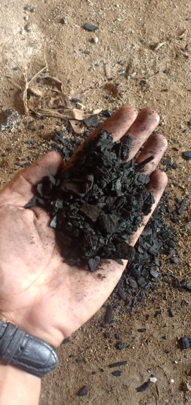 ARANG KULIT KAYU KERAS BAKAU UNTUK KOMPOSISI BRIKET