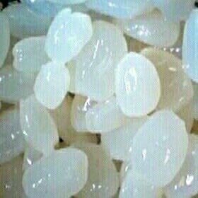 Jual Kolang kaling
