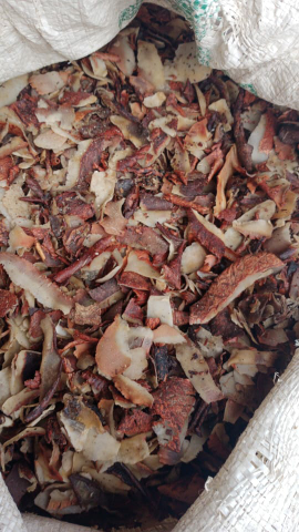 Kulit Ari Kelapa Kering