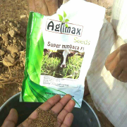 BIBIT RUMPUT SUPER MOMBACA F1