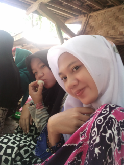 Ayam potong boiler
