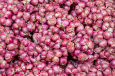 Bawang merah super