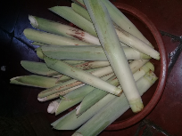 Turubuk