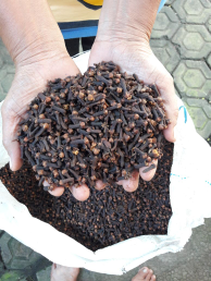 Jual Cengkeh Kering Partai Besar (stok ternate, maluku utara)