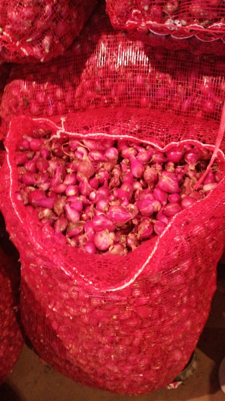 Bawang Merah Brebes
