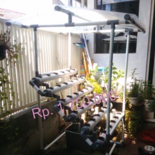 Hidroponik Media Berkebun