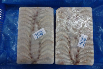 1st GRADE QUALITY Raw HOSO, HLSO Vannamei Block Frozen