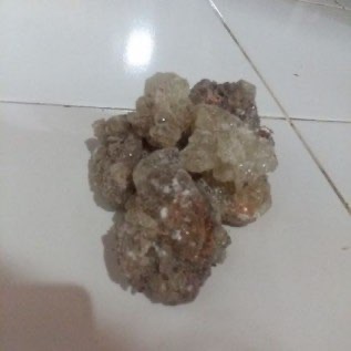Damar mata kucing