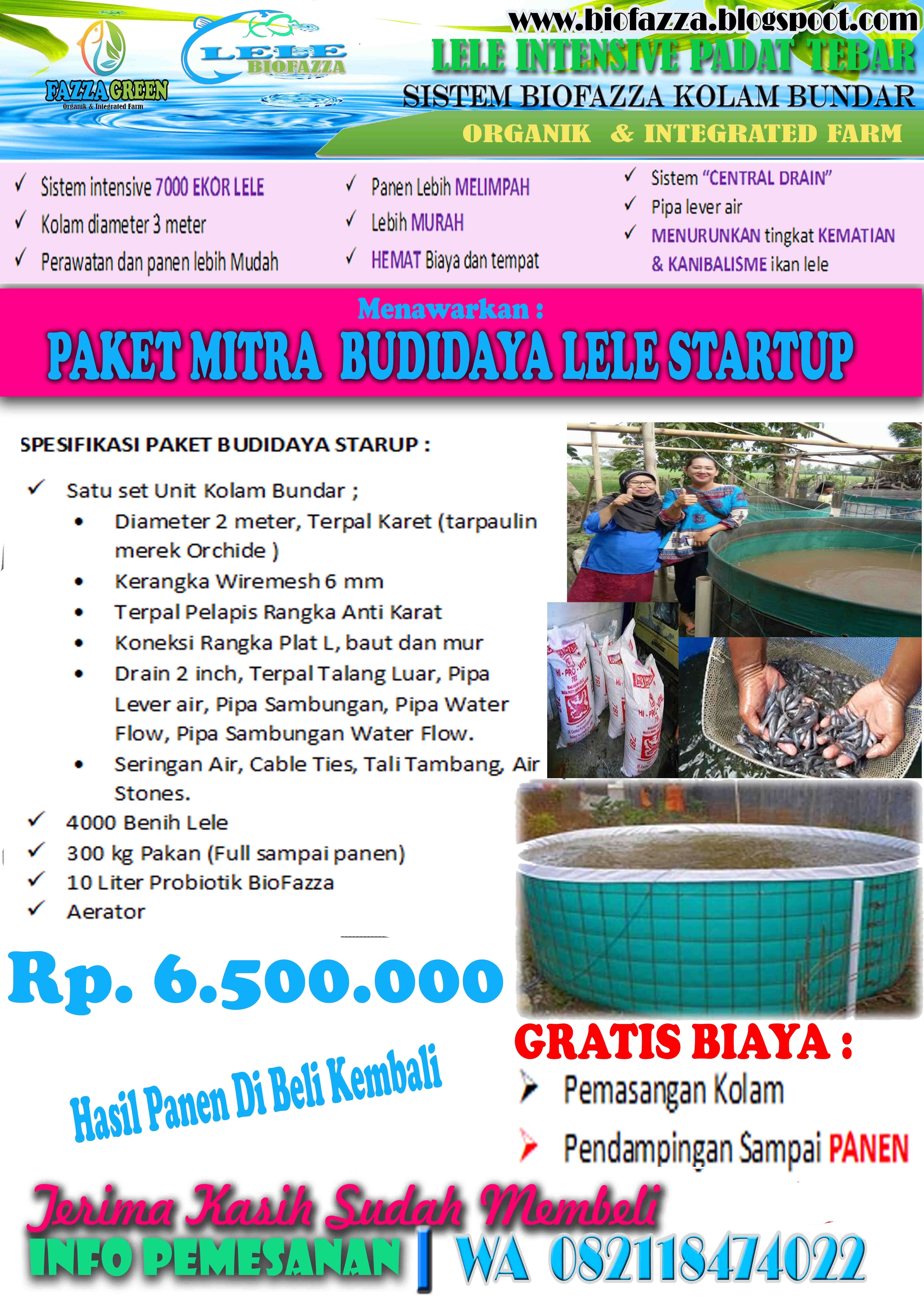 paket usaha budidaya lele