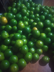 lemon manis