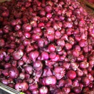 JUAL BAWANG MERAH BREBES