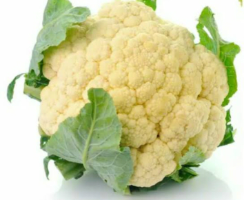sayur mayur bengkulu