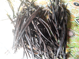 dijual vanili kering