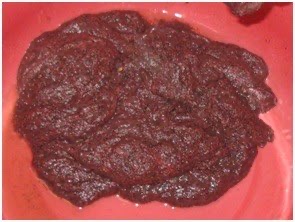 Jual Cacing Sutra Wilayah Medan