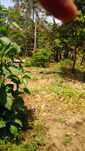 Dijual tanah
