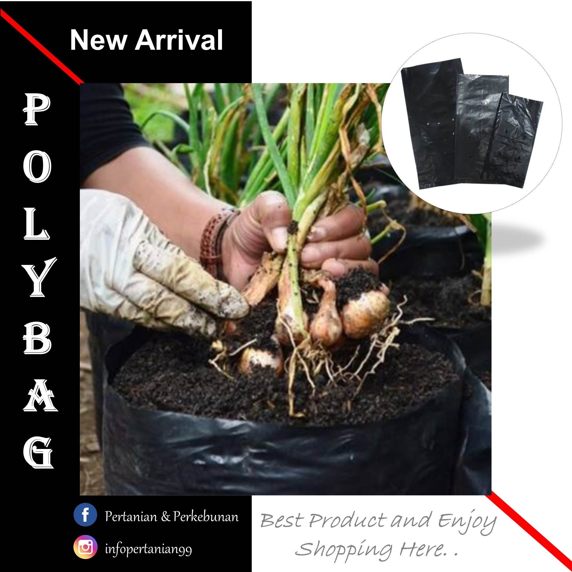 Distributor Polybag, Hub. 