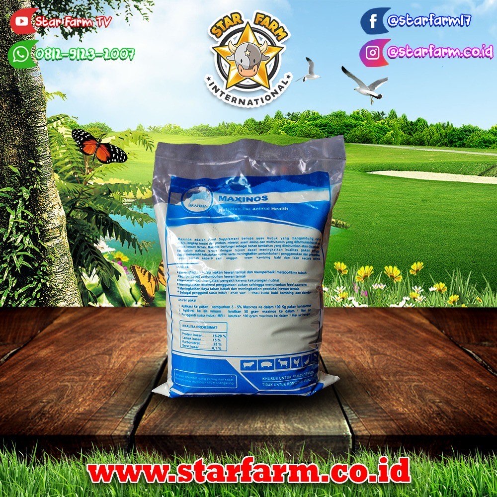 MAXINOS 1KG Susu Pengganti Untuk Pedet dan Cempe Paling Hemat - Star Farm Bogor