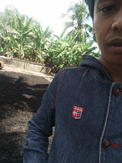 arang batok kelapak