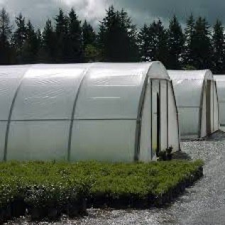 Jual Plastik UV GreenHouse Lokal merk HERCULES