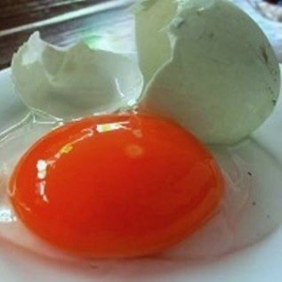 telur bebek manik merah