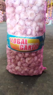BAWANG PUTIH SINCO (FRESH)