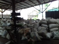 cangkang kemiri murah