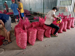 bawang merah (wa )