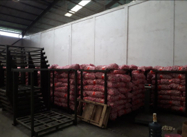 Bawang putih
