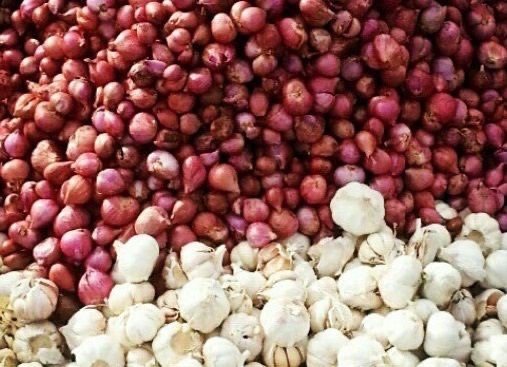 BAWANG MERAH,PUTIH,BOMBAY
