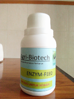 enzym-feed
