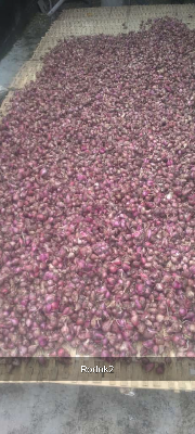 Bawang Merah